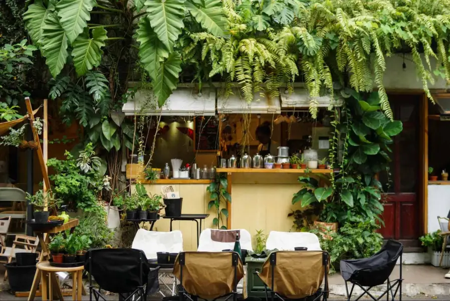 Sử dụng cây cảnh mini và nghệ thuật Terrarium