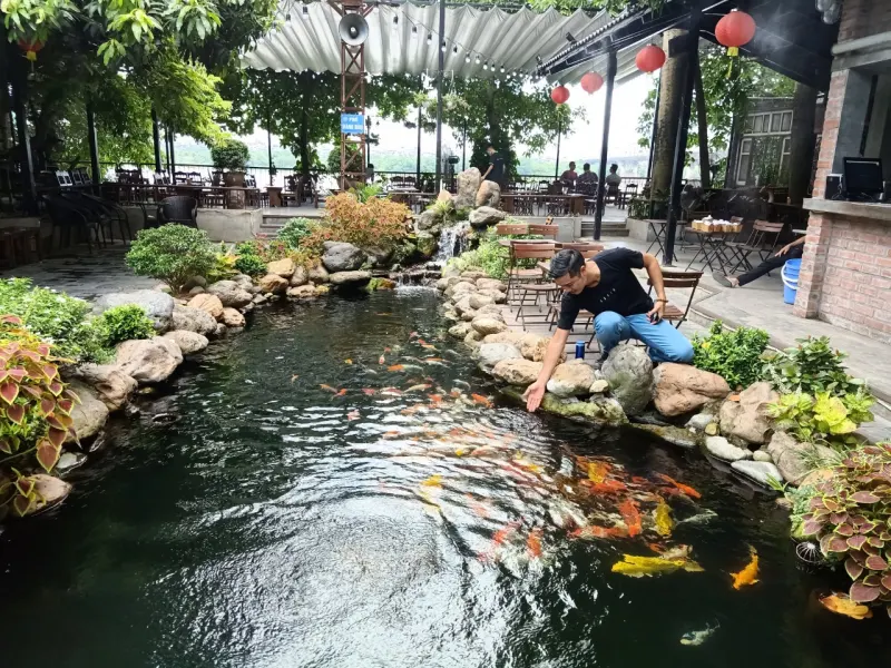 Mô hình cafe ngoài trời kết hợp hồ cá Koi / Tiểu cảnh nước